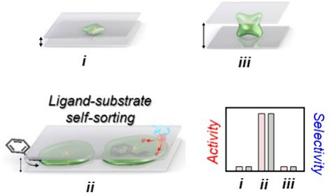 images_large_nl5c04467_0006