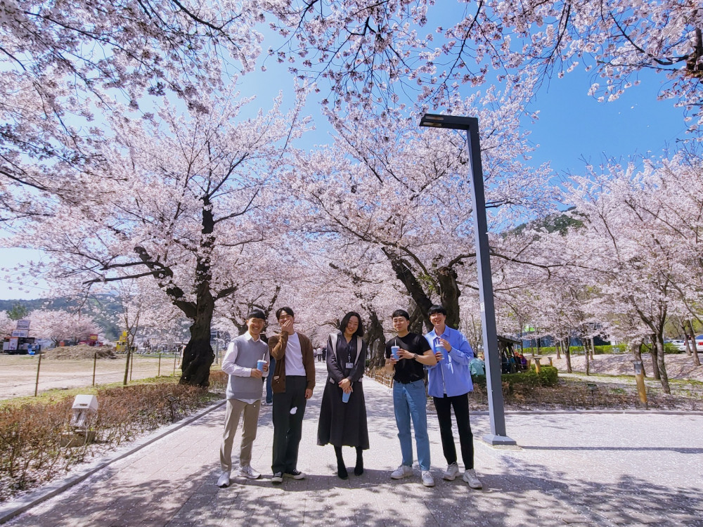ATE Lab Cherry blossom_1M