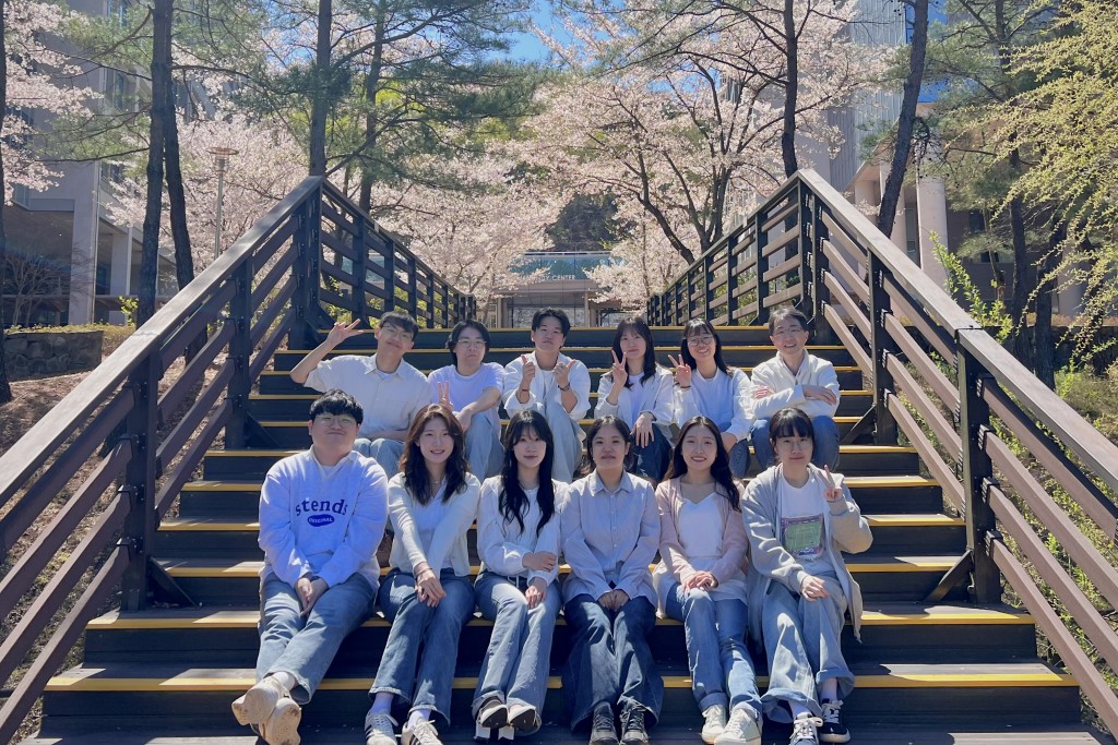 26년 벚꽃사진
