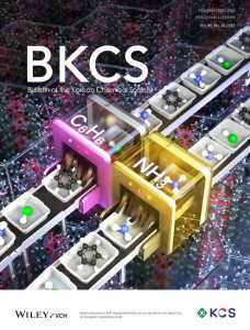 bkcs.v46.10.cover