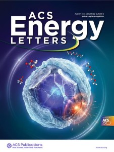 m_aelccp.2026.11.issue-8.xlargecover