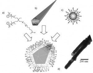 Adv.MAter 2008 bimetallic nanocobs
