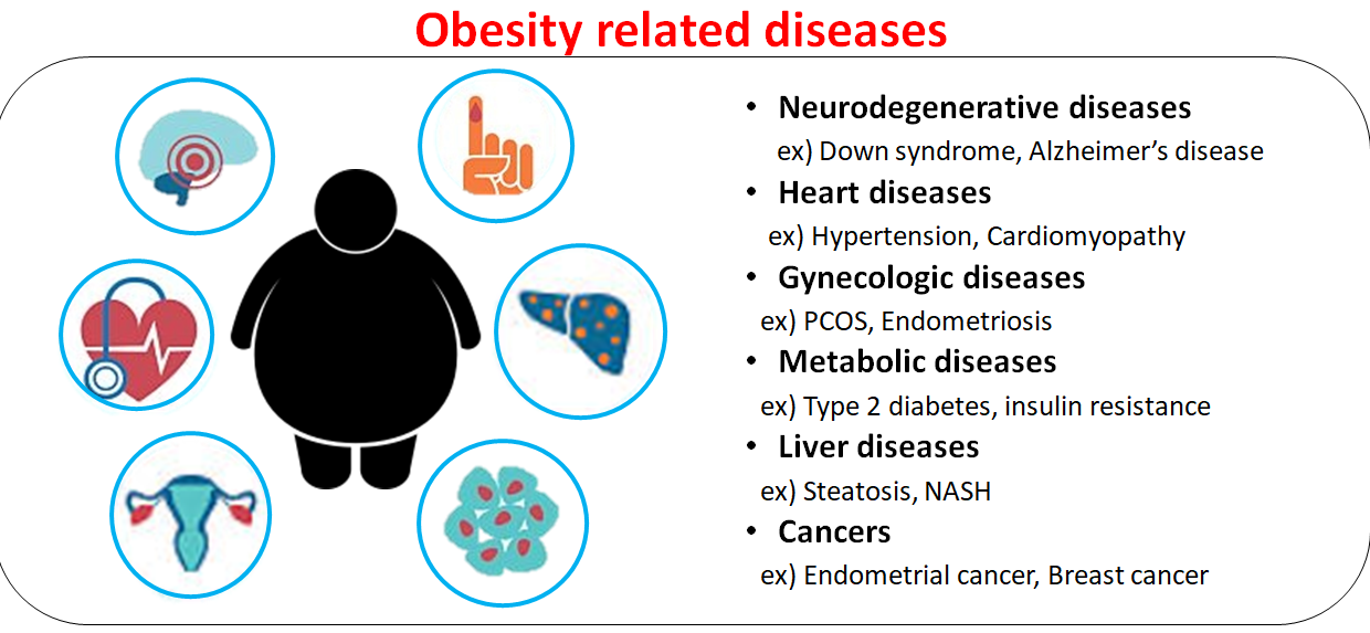 Obesity related diseases