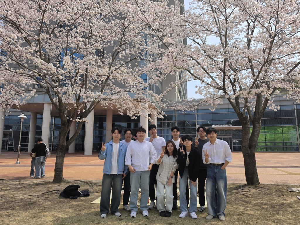 2026벚꽃