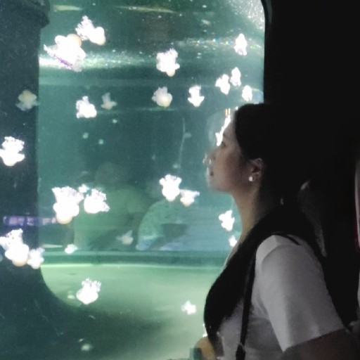 KakaoTalk_20260323_193554