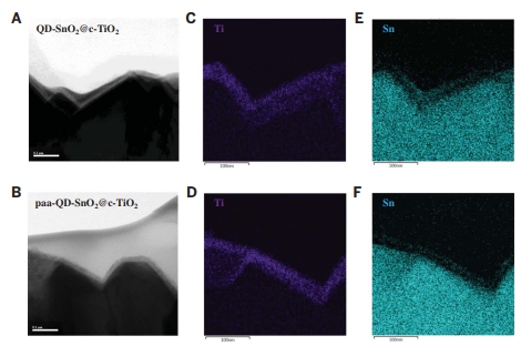 Conformal quantum dot–SnO2 layers as electron transporters for efficient perovskite solar cells