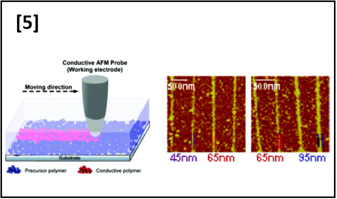 Rapid Direct Nano-writing of Conductive Polymer via Electrochemical Oxidative Nanolithography