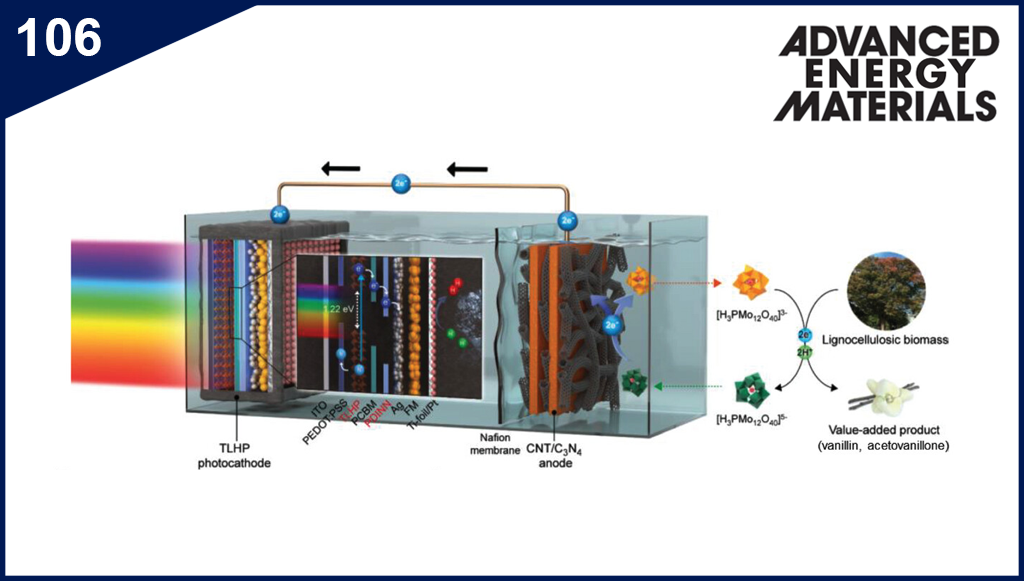 Efficient and Stable Tin-lead Perovskite Photoconversion Devices Using Dual-functional Cathode Interlayer