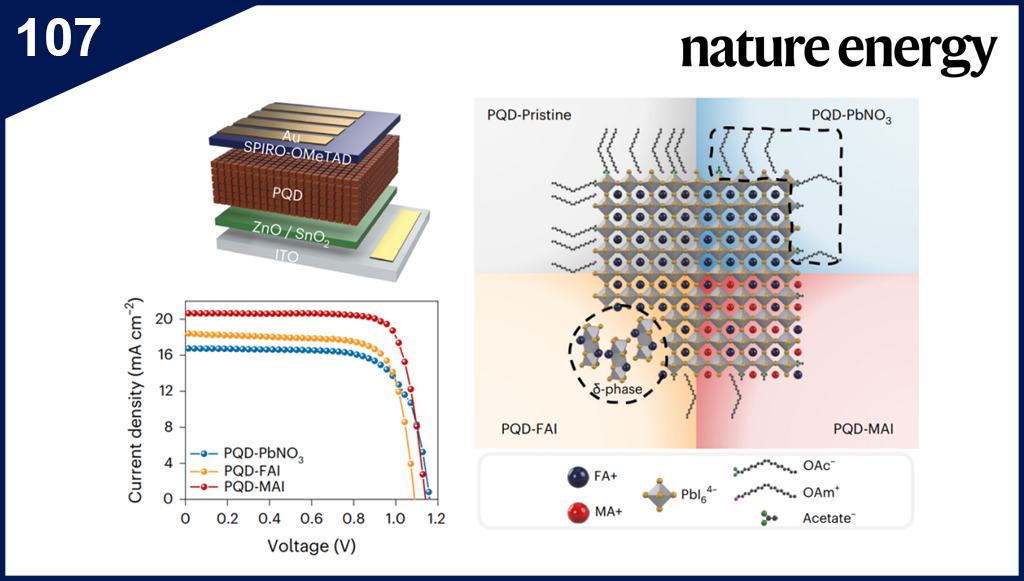 Alkyl ammonium iodide-based ligand exchange strategy for high-efficiency organic-cation perovskite quantum dot solar cells
