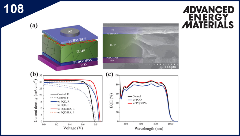 Regulating the Quantum Dots Integration to Improve the Performance of Tin–Lead Perovskite Solar Cells