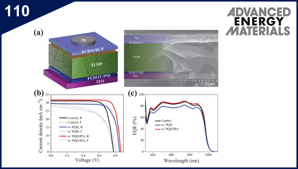 Regulating the Quantum Dots Integration to Improve the Performance of Tin–Lead Perovskite Solar Cells