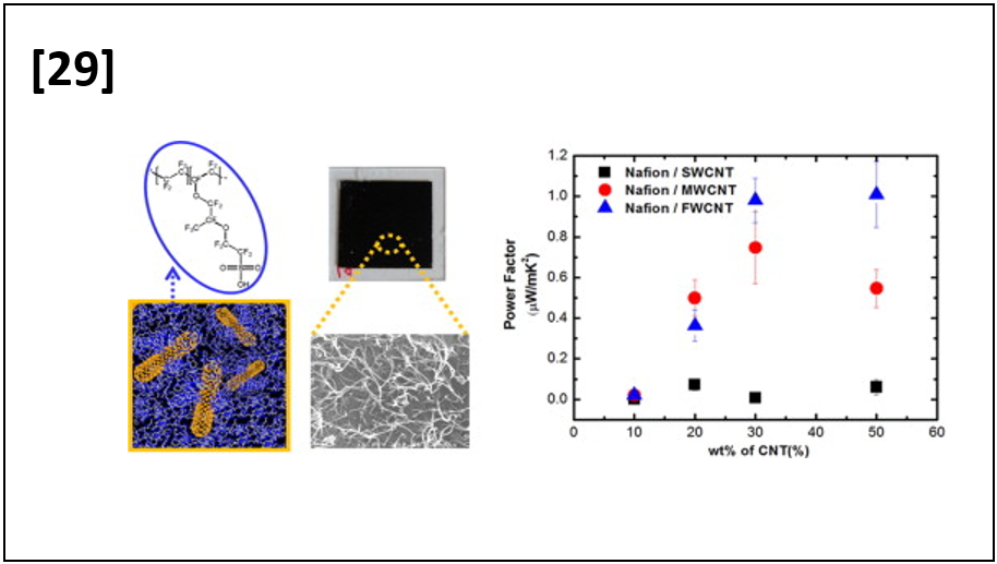 Effect of the Carbon Nanotube Type on the Thermoelectric Properties of CNT/Nafion Nanocomposites