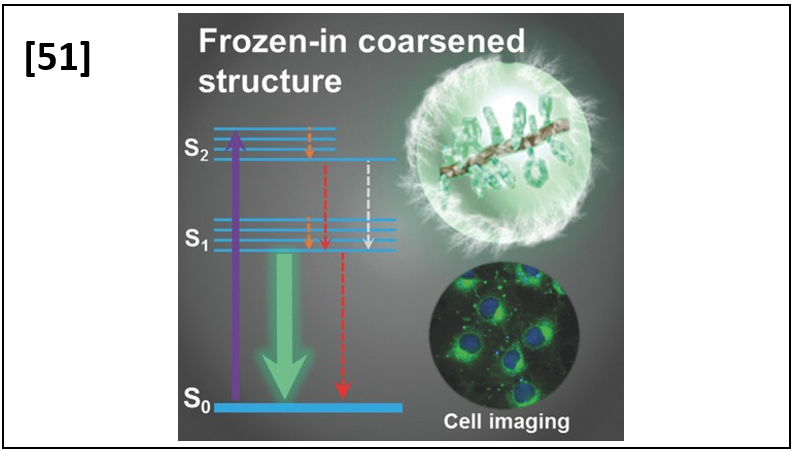 Highly Fluorescent, Photostable, Conjugated Polymer Dots with Amorphous, Glassy-State, Coarsened Structure for Bioimaging