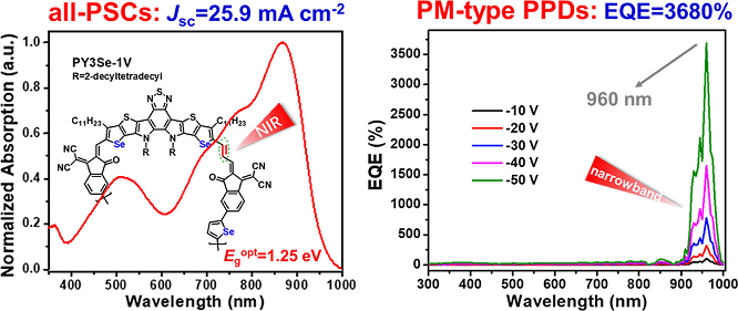 255. Vinylene-Inserted Asymmetric Polymer Acceptor with Absorption Approaching 1000 nm for Versatile Applications in All-Polymer Solar Cells and Photomultiplication-Type Polymeric Photodetectors