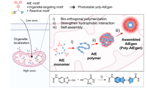 2026-Adv.Healthcare.Mater