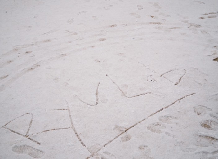 KakaoTalk_20260224_175825832