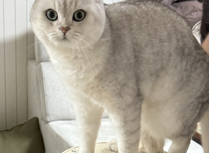 KakaoTalk_20260306_164731285