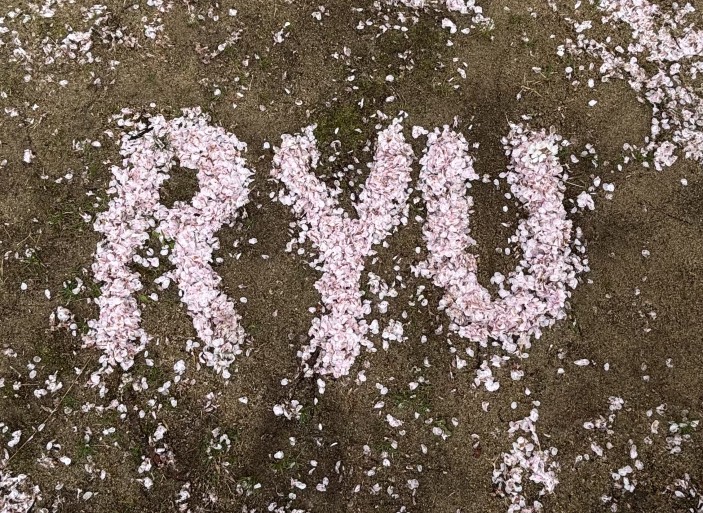 KakaoTalk_20260406_171855928_11